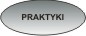 Praktyki