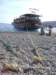 fethiye_small.jpg