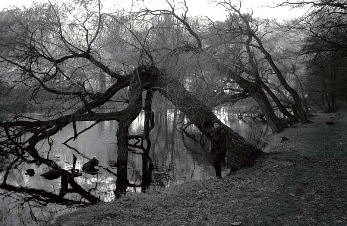 014_trees