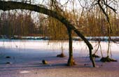 02_trees