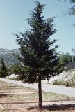 AA02.jpg