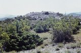 AA07.jpg