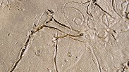 AD18