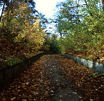 Os�oni�ta wysokimi nasypami droga fortowa prowadz�ca do fortu I