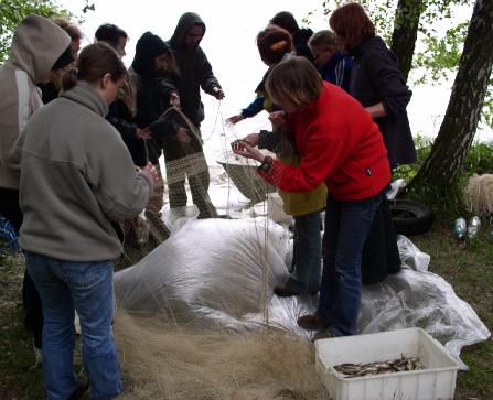 Dobiegniewo2022V04004